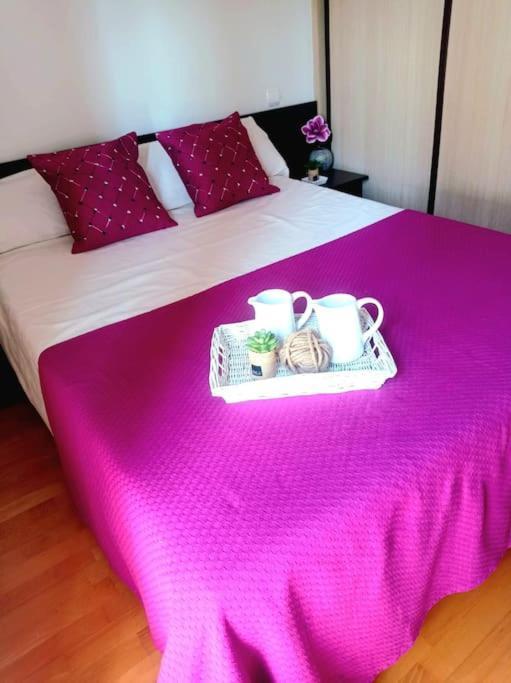 Acogedor Apartamento Con Piscina Y Garaje Daire Huesca Dış mekan fotoğraf